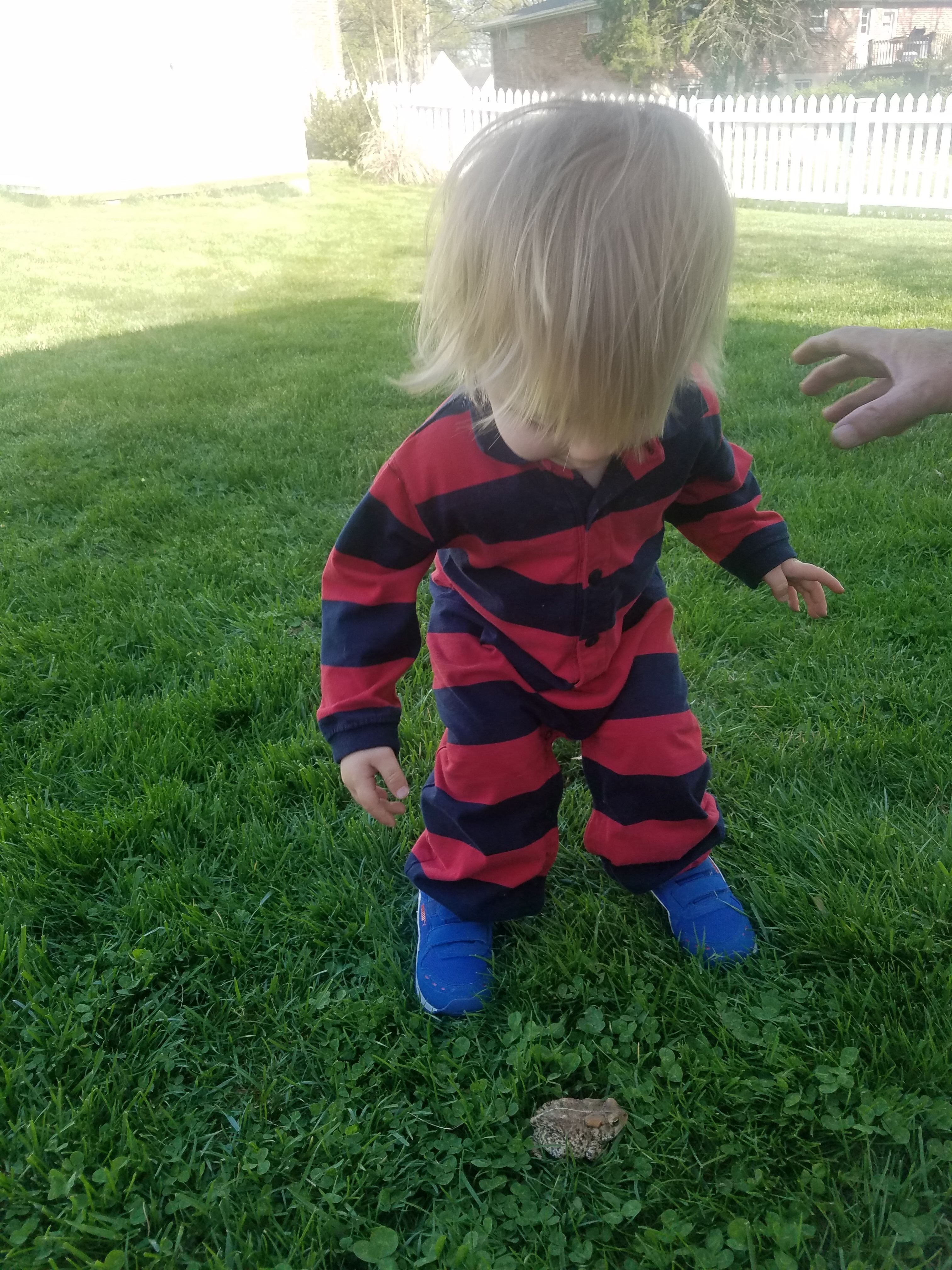 Frog!